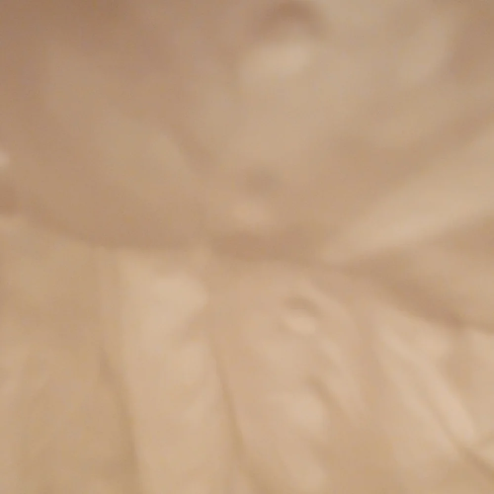 Market & Spruce White Eyelet Blouse - Picture 3 of 7